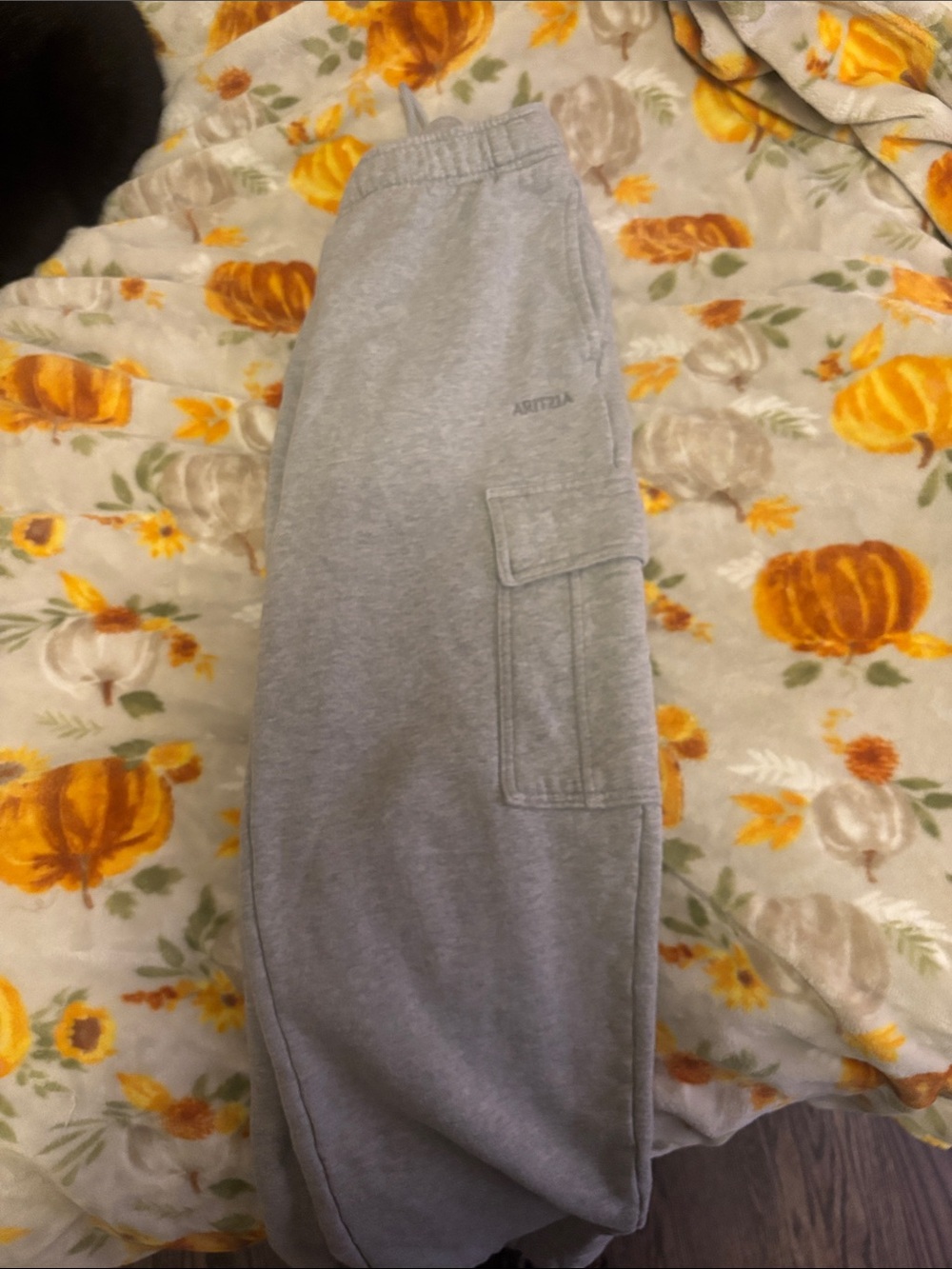 Aritzia Gray Cargo Sweatpants